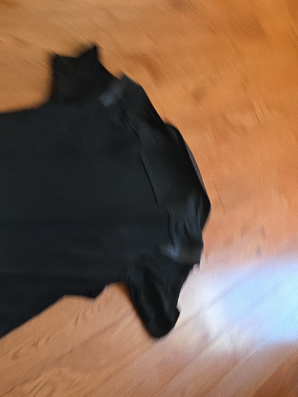 Helmut Lang Black Button-Down Dress - Picture 6 of 6